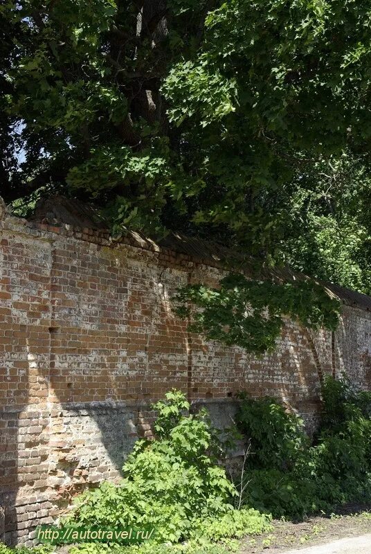 Фото дмитровска. Усадьба Кантемира Дмитровск Орловская область. Парк Кантемира Дмитровск Орловский. Усадьба Дмитрия Кантемира. Усадьба Дмитрия Кантемира в Дмитровске.