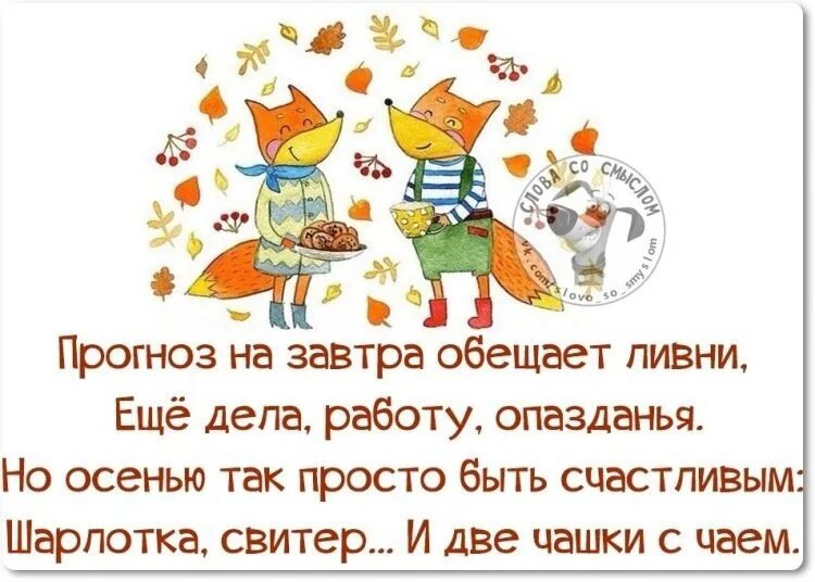 Веселые осенние с юмором добрыми картинки. Позитивные высказывания. смешные фразы про осень. осенние афоризмы веселые. веселые афоризмы про осень.