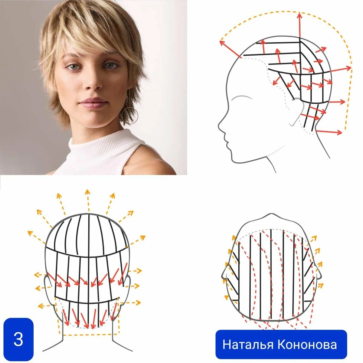 Схема каскадной стрижки. Схема стрижки Каскад на короткие волосы. Схемы стрижек на средние волосы. Технология стрижки Каскад. Техника стрижки средних волос