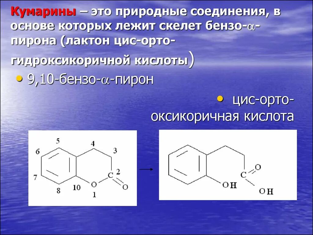 Соединяющая основа