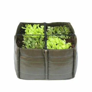 Bag plant