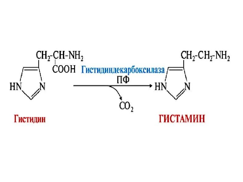 Гистамин структурная формула. Гистамин формула. Гистамин химическая формула. Гистамин строение.