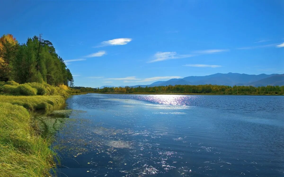 Не широкая красивая река. Река Тулва. Волга река. Красивая река. Широка река.