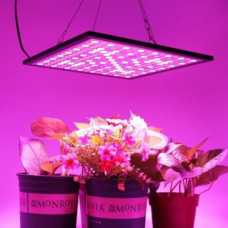 Led grow plant. Лампа досвечивания растений. Фитосветильник 135w круглый. Фитолампа 4 лампы. Светильник для рассады.