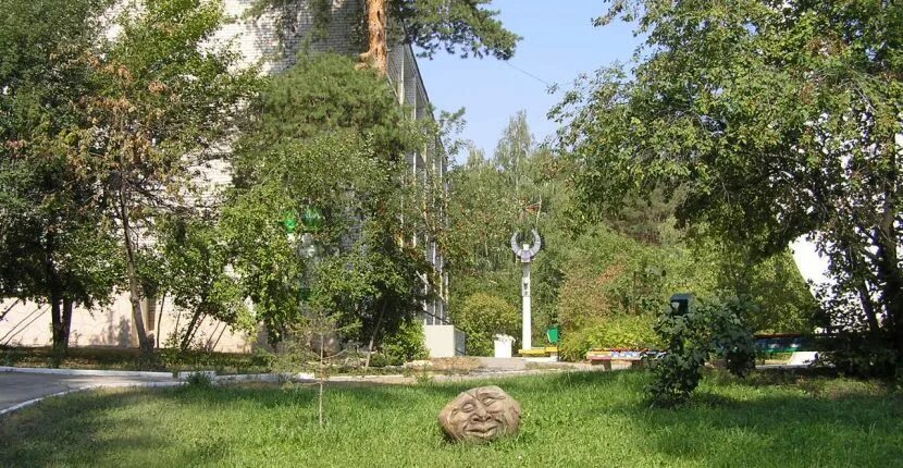 Пансионат сосновый бор тольятти. Сайт русский бор. Русский бор санаторий тольятти. Русский бор санаторий тольятти. Сайт русский бор.