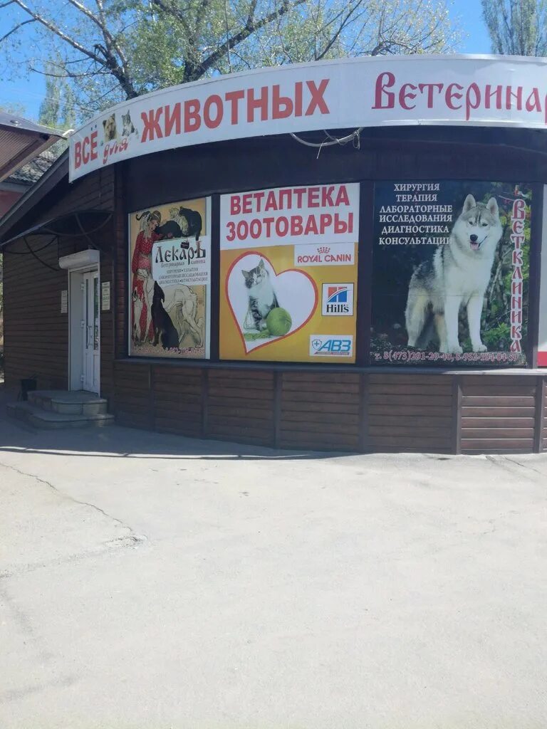 ветеринарная клиника в центре новосибирска. альфа тамбов ветеринарная клиника. зоовет ветклиника воронеж. ветеринарная клиника на ростовском море в городе ростове-на-дону. круглосуточная ветклиника воронеж.