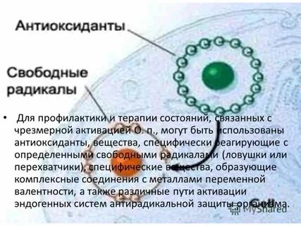 Защита от свободных радикалов