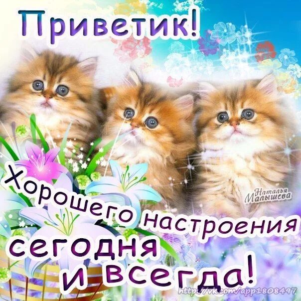 ПРИВЕТСТВИЯ и ПОЖЕЛАНИЯ, открытки на каждый день. - 20 июня 2019 в 10:16
