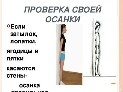 Стена осанка