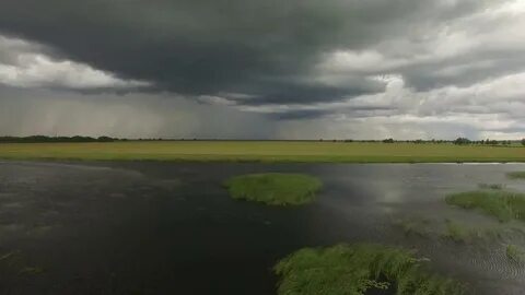 Урожайное алтайский край