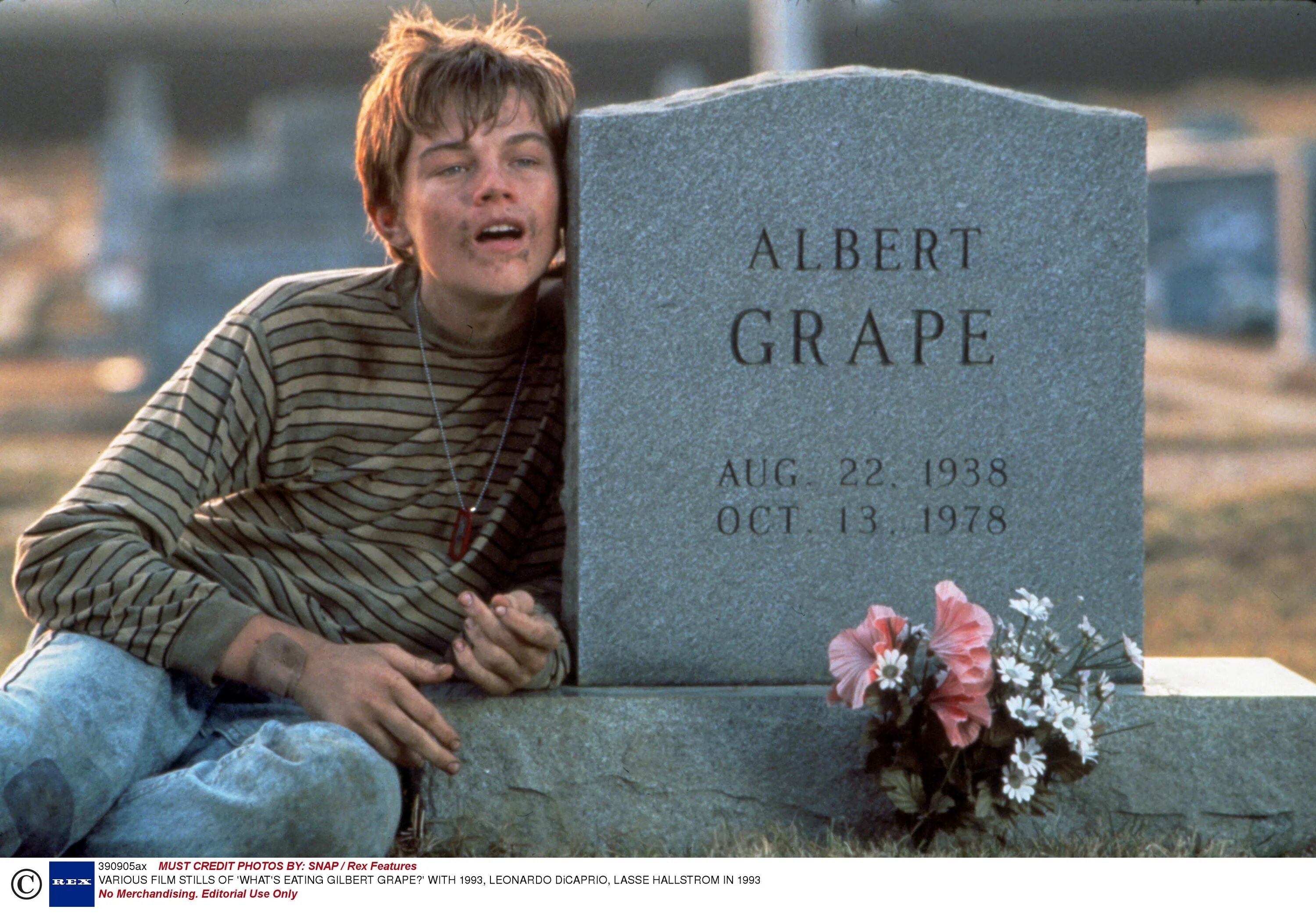 ди каприо гилберт грейп. леонардо ди каприо в фильме что гложет гилберта грейпа. джонни депп гилберт грейп. леонардо ди каприо что гложет. что гложет гилберта грейпа ди каприо.