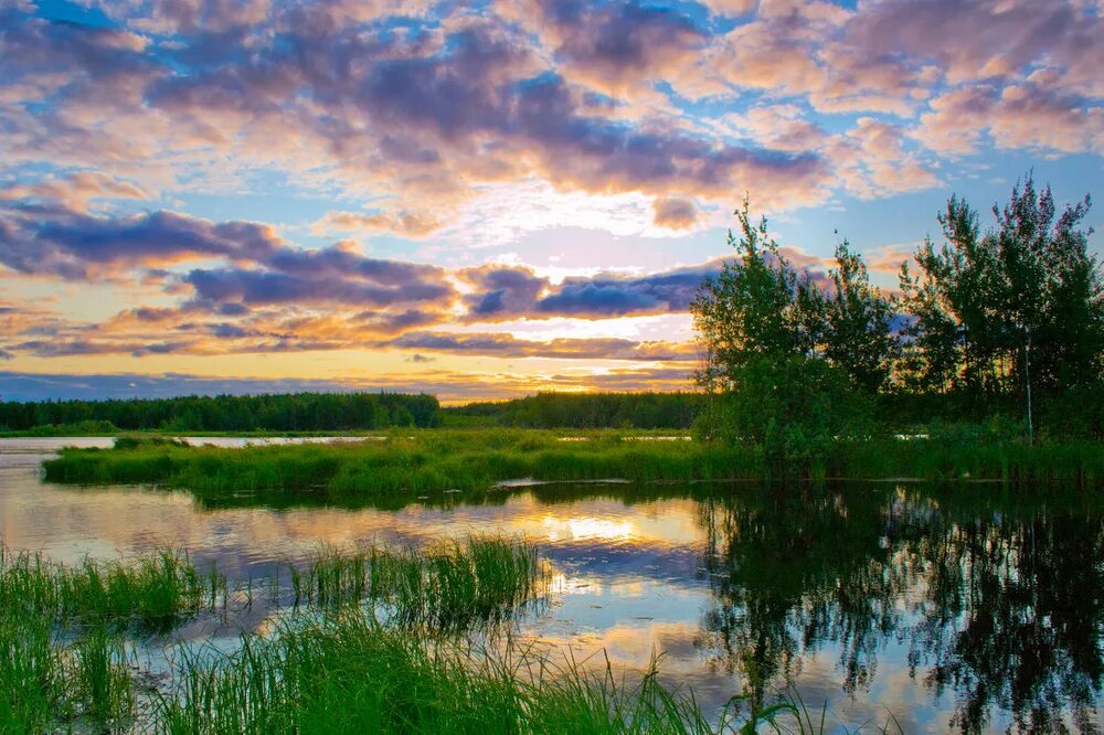 Река вах тюменская область. Река вах хмао. Река вах хмао. Река ваха. Река вах хмао.