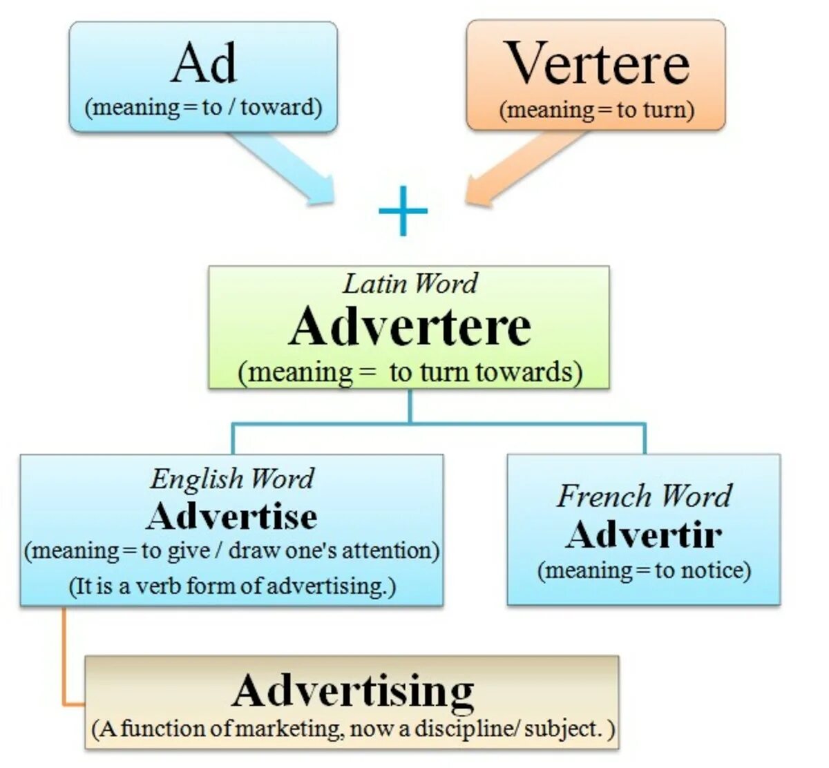 Etymology of Words. Guess the meaning of the Words. Ad meaning. The meaning of the Word.