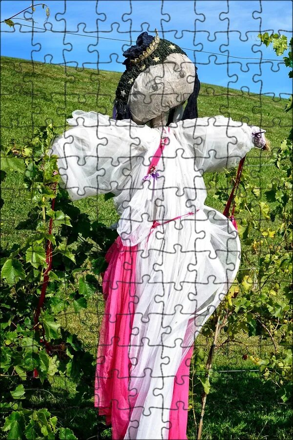 Чучело на огород. Пугало на дачу. Баба чучело. Баба чучело. Прикольные пугало для огорода.