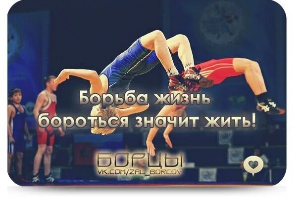 Спортивные лозунги борьбы. Девиз борьба. Лозунги борцов. Демотиваторы про борцов. Лозунг бороться и искать найти и не сдаваться.