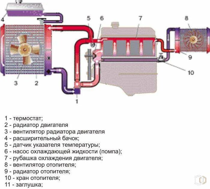 Циркуляция ож