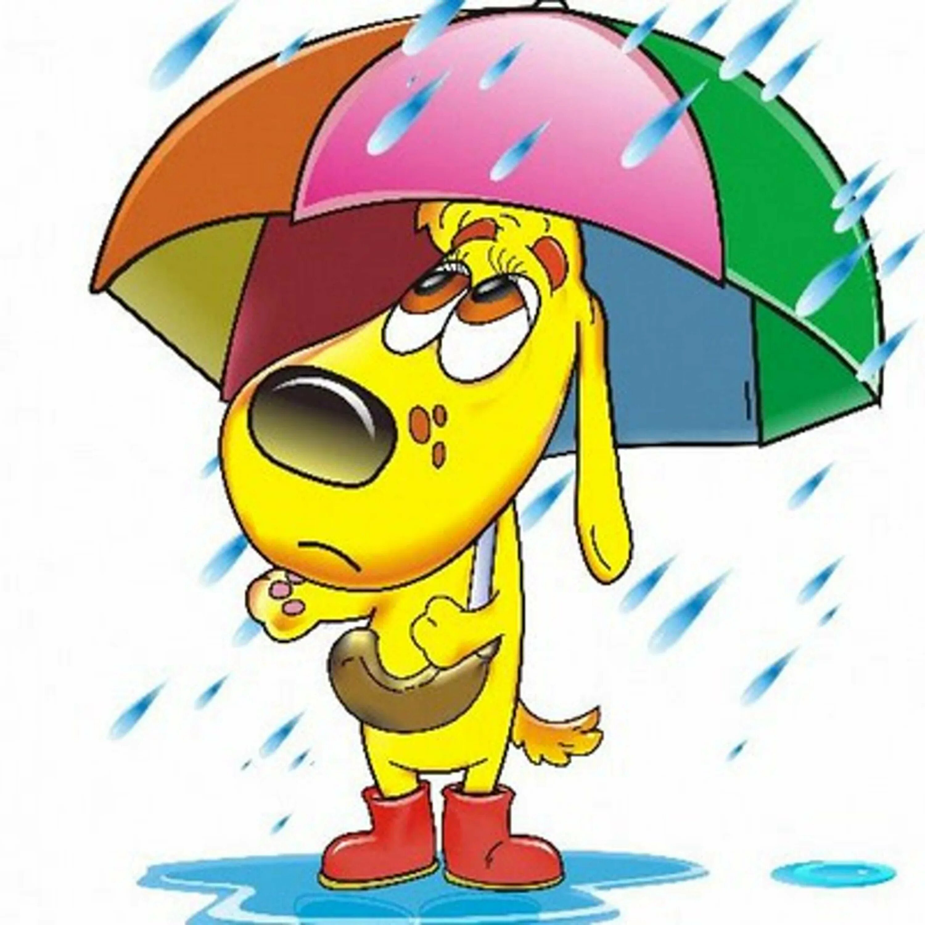 Скоро пойдет дождь пчелка. Смайлик под зонтиком. Собака под зонтом. Сказочный персонаж с зонтиком. Дождь мультяшные.