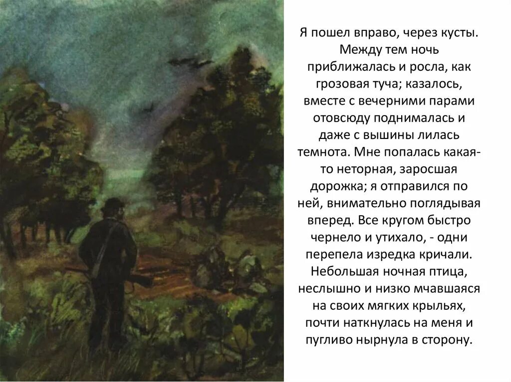 Я пошел вправо через кусты тип. Я пошел вправо через кусты тип