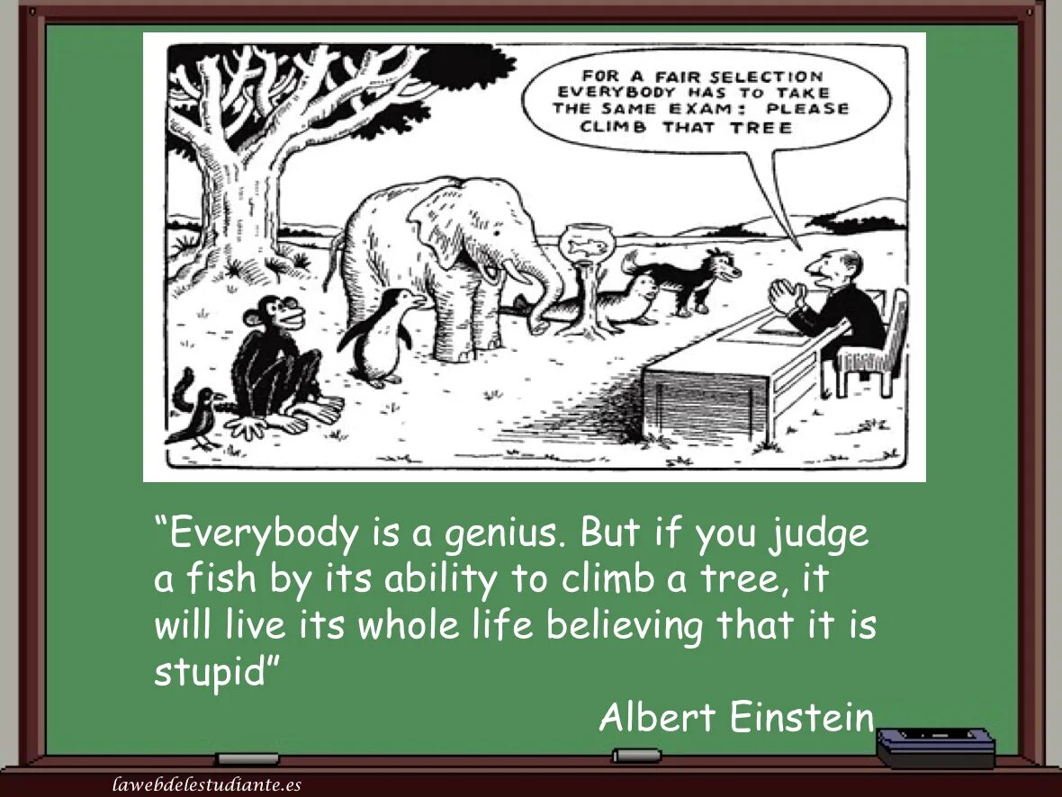 The same task. Карикатура for the Fair selection Everybody has to take the same Exam. Fair selection. Животные залезть тест. Рыбка обезьяна залезть на дерево.