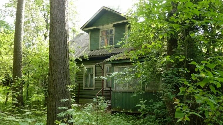 История Вырицы