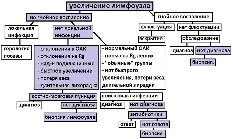 Какие антибиотики пьют при лимфоузлах. Биопсия паховых лимфоузлов. Воспаление паховых лимфатических узлов у женщин. Лекарство при воспалении лимфатических узлов. Показания к биопсии лимфатических узлов.