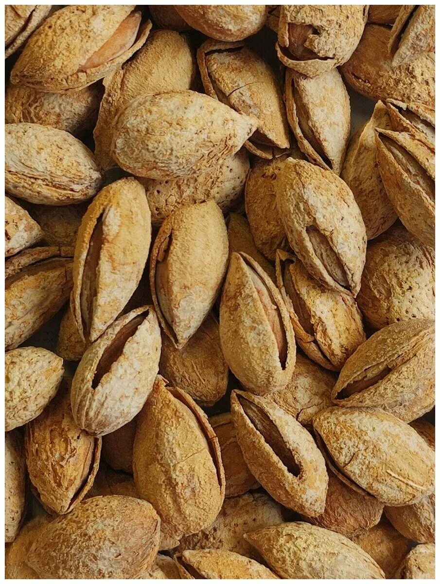 Скорлупа миндального ореха. Скорлупа миндального ореха. Миндаль неочищенный - 500 гр. Скорлупа миндального ореха. Миндаль бодом.