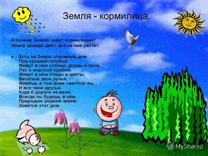 Почему земля кормит в подготовительной группе