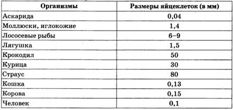 Самые маленькие размеры имеет яйцеклетка трески лягушки