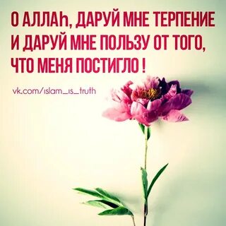 Картинки дай сил и терпения