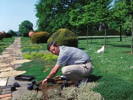 The gardener planted some