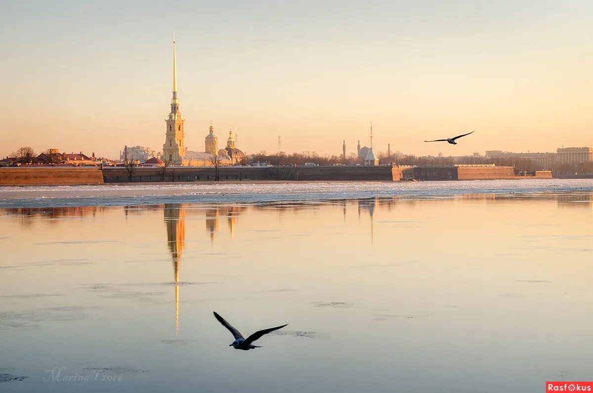 Утренний санкт петербург. Утро в Питере весной. Питер утро Весна. Весеннее утро в Петербурге. Рассвет в Питере весной.