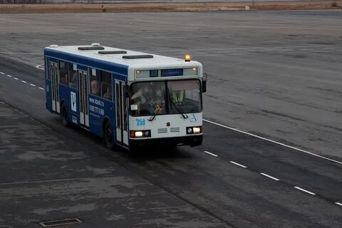 Гумрак волгоград автобус