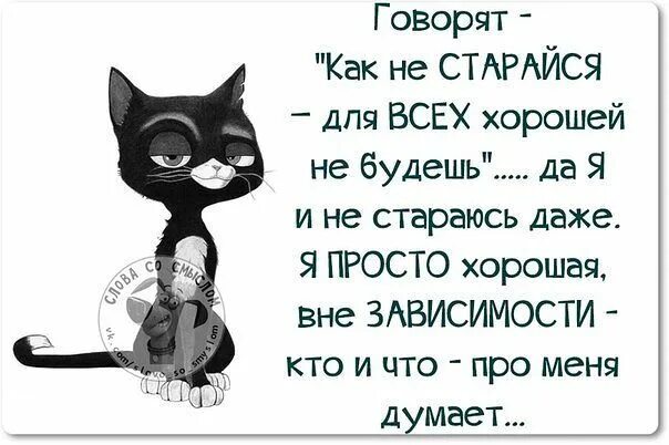 Как ни старайся. Я стараюсь быть лучше. Статус всем не угодишь. Стараюсь картинки прикольные. Никогда не старайтесь никому угодить.