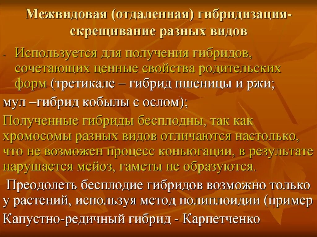Гибридизация метод селекции. Гибридизация в селекции растений. Процесс создания гибридов. Гибридизация животных клеток. Процесс создания гибридов.