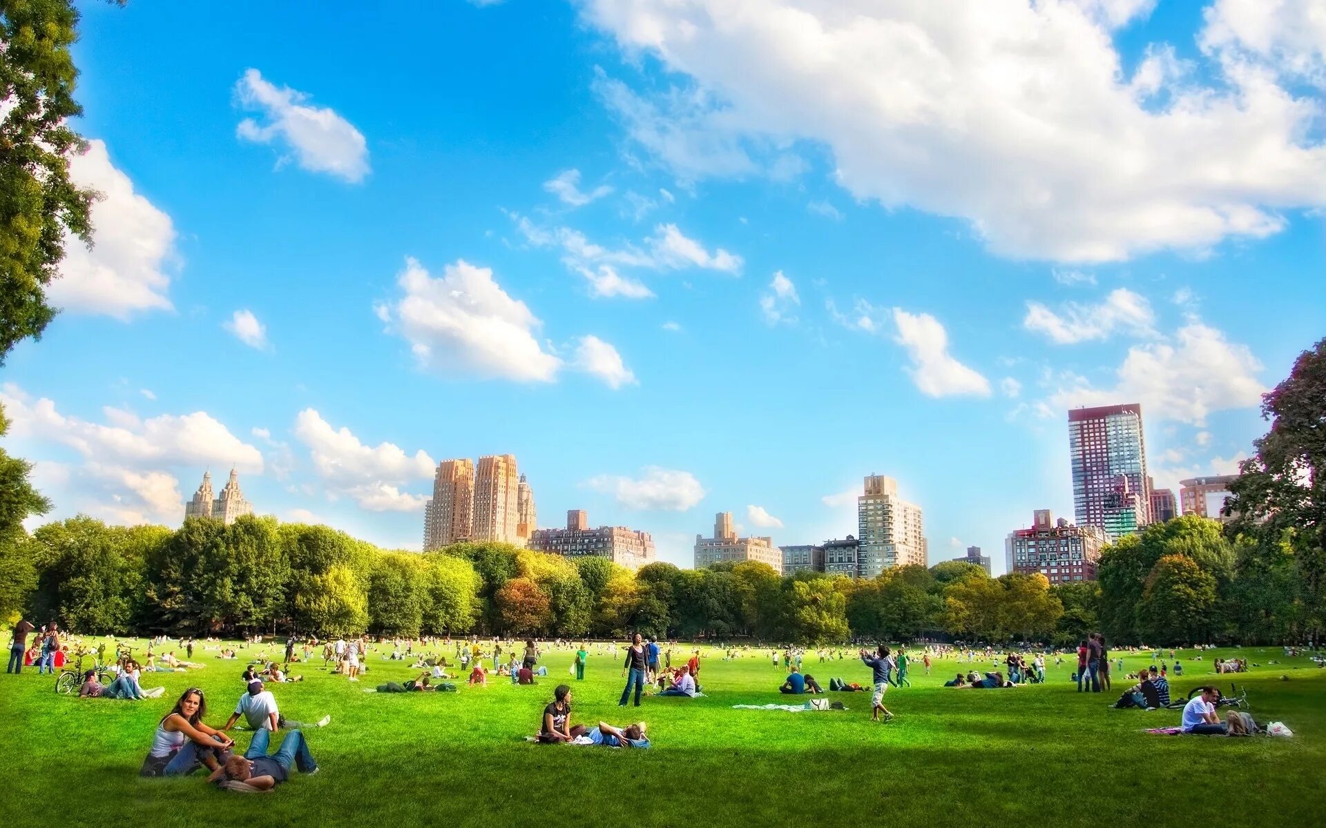 Park in. Центральный парк Нью-Йорка газон. Центральный парк Нью-Йорк пикник. Большая лужайка в Центральном парке в Нью-Йорке. Централ парк Лондон.