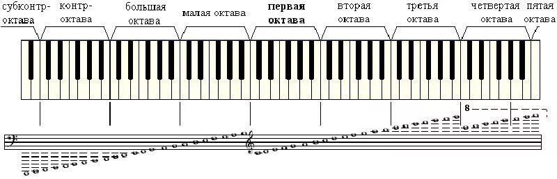 Первая Октава в басовом Ключе для фортепиано. Октава фортепиано 2 октавы. Басовый ключ пианино малая Октава. Малая Октава в басовом Ключе на нотном стане. Почему не полностью музыка