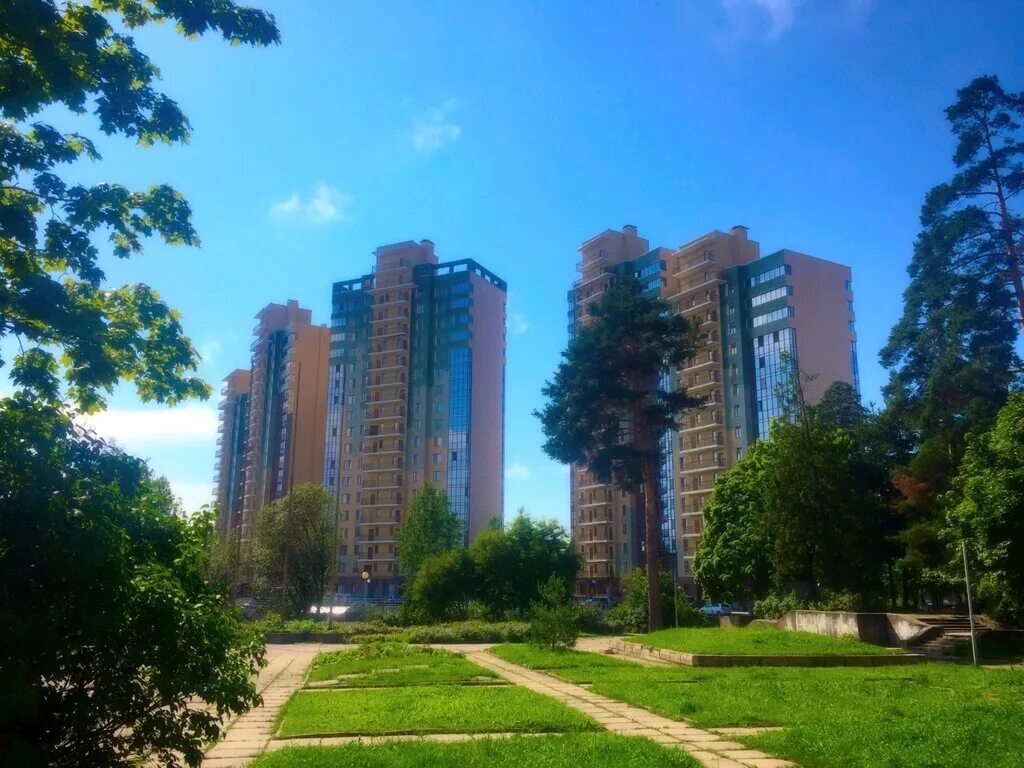 Авито недвижимость сосновый бор ленинградская