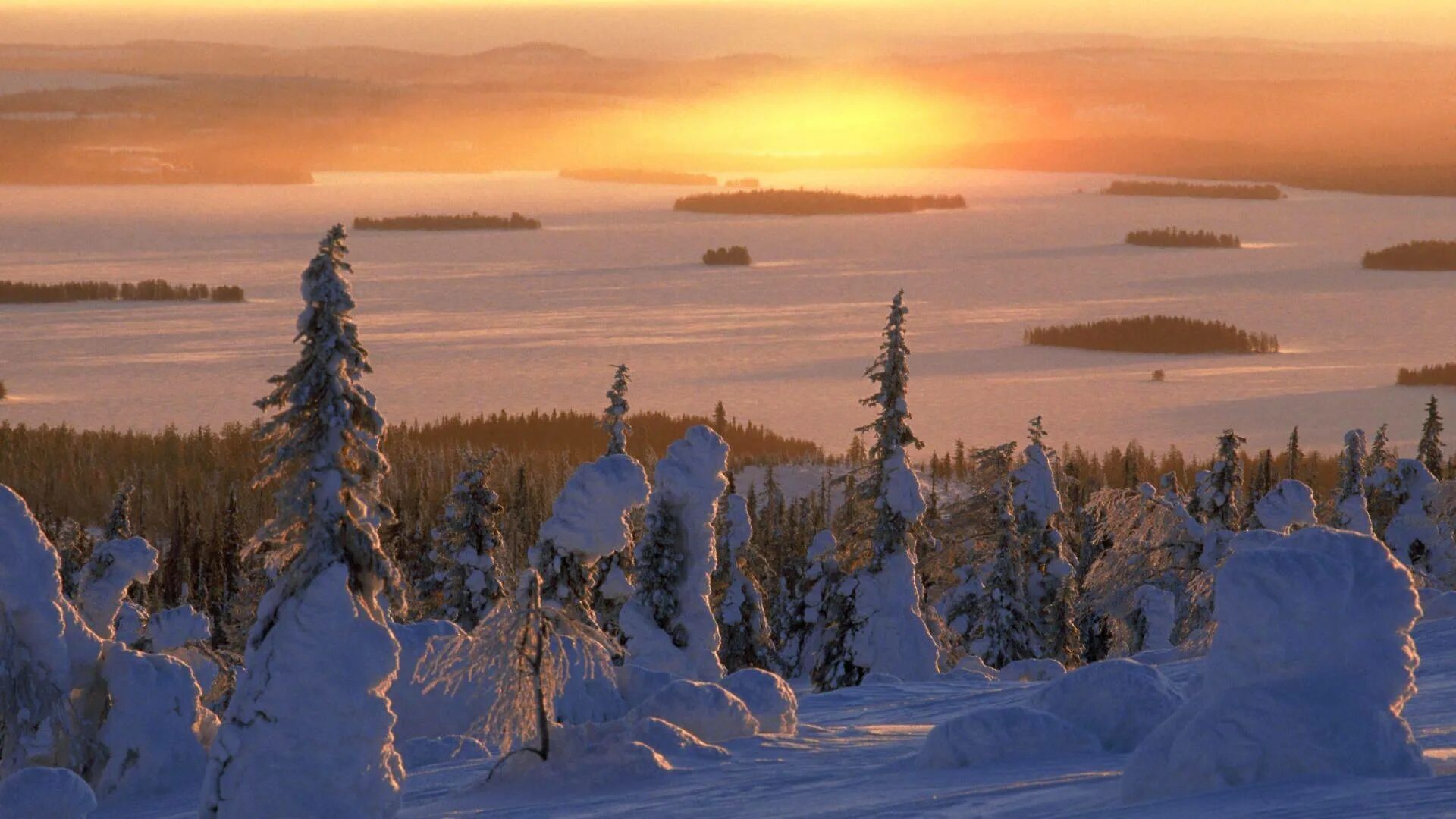 Национальный парк Рииситунтури Финляндии. Северные верховья Финляндии. Тундра европейского севера.