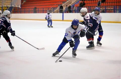 Хоккей пфо 2008