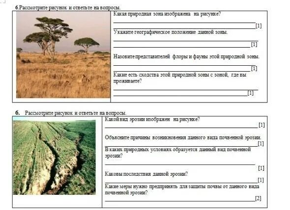 Какая природная зона изображена на картинке. Какая природная зона изображена на рисунке. Какая зона изображена на рисунках. Какой план подойдет для характеристики природной зоны. По карте определите в каких природных условиях