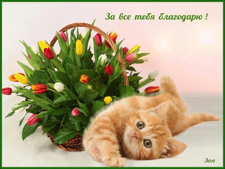 Хорошо пожалуйста можешь