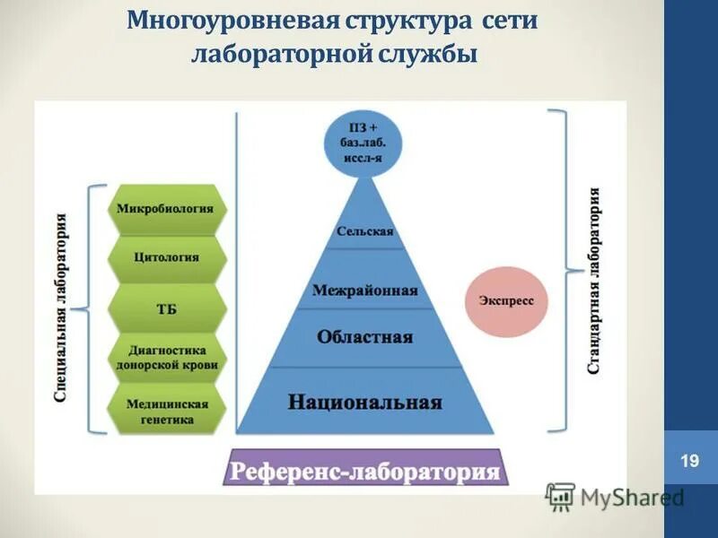 Многоуровневая структура управления. Многоуровневая организационная структура. Двухуровневая структура управления. Двухуровневая структура управления. Адаптивные роботы примеры.