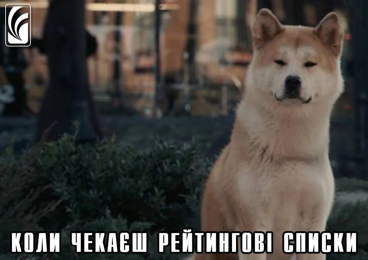 Хатико техник липецк. Хатико самый верный друг. Акита ину хатико самый верный друг. Хатико ждет фото. Хатико картинки.