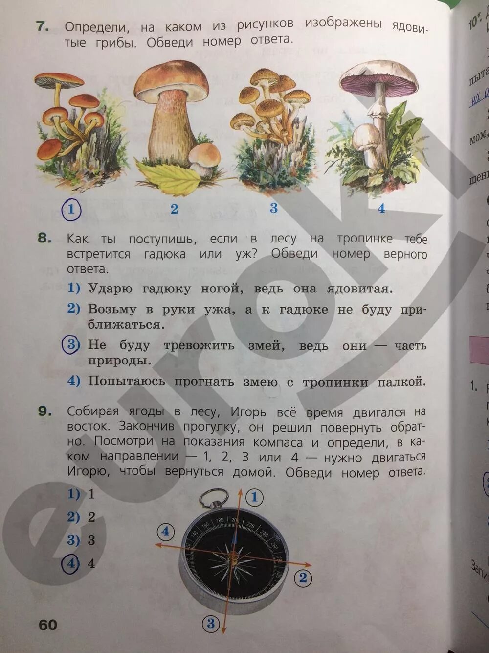 Проверочные работы 4 класс страница 60. Грибы ВПР. ВПР.окружающий мир 4 класс.