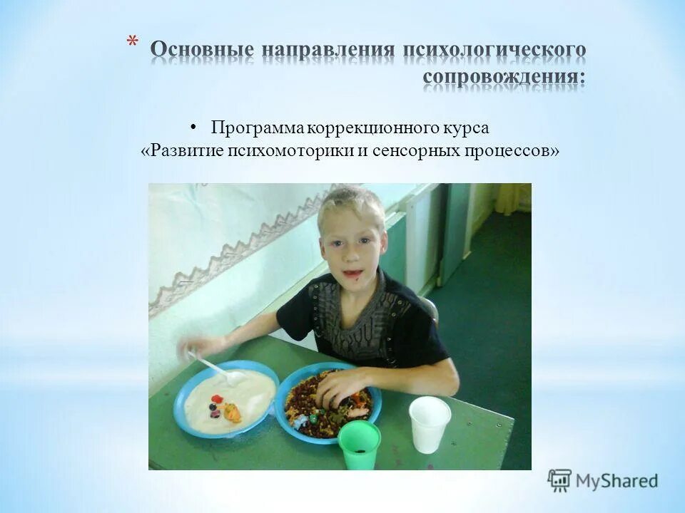 функции психомоторики. программа развития психомоторики и сенсорных процессов.