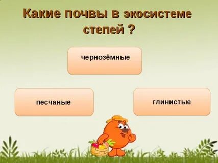 Тест по степи 4 класс окружающий мир
