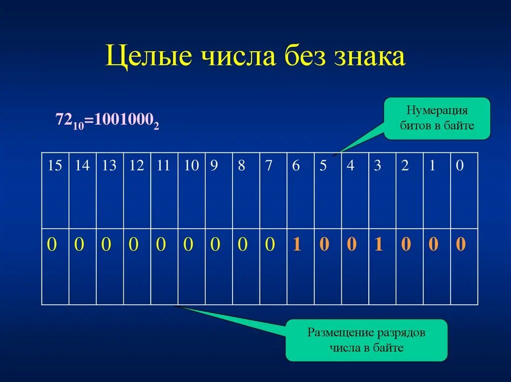 Целое число между 0 и 1. Нумерация бит в байте. Целые числа без знака. Как нумеруются биты. Размещении чисел в разрядной.