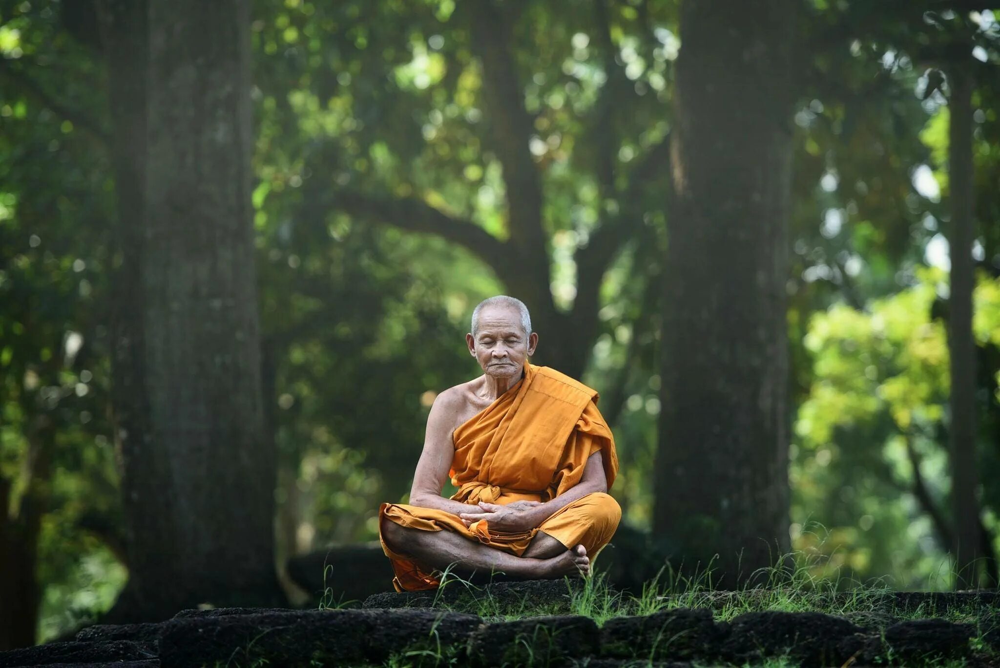 История жизни одной семьи дзен. Ритрит монах йогин. Что такое дхьяна в буддизме. Буддистский монах Тибет. Будда левитирует.