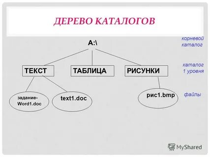 Корневой каталог сайта