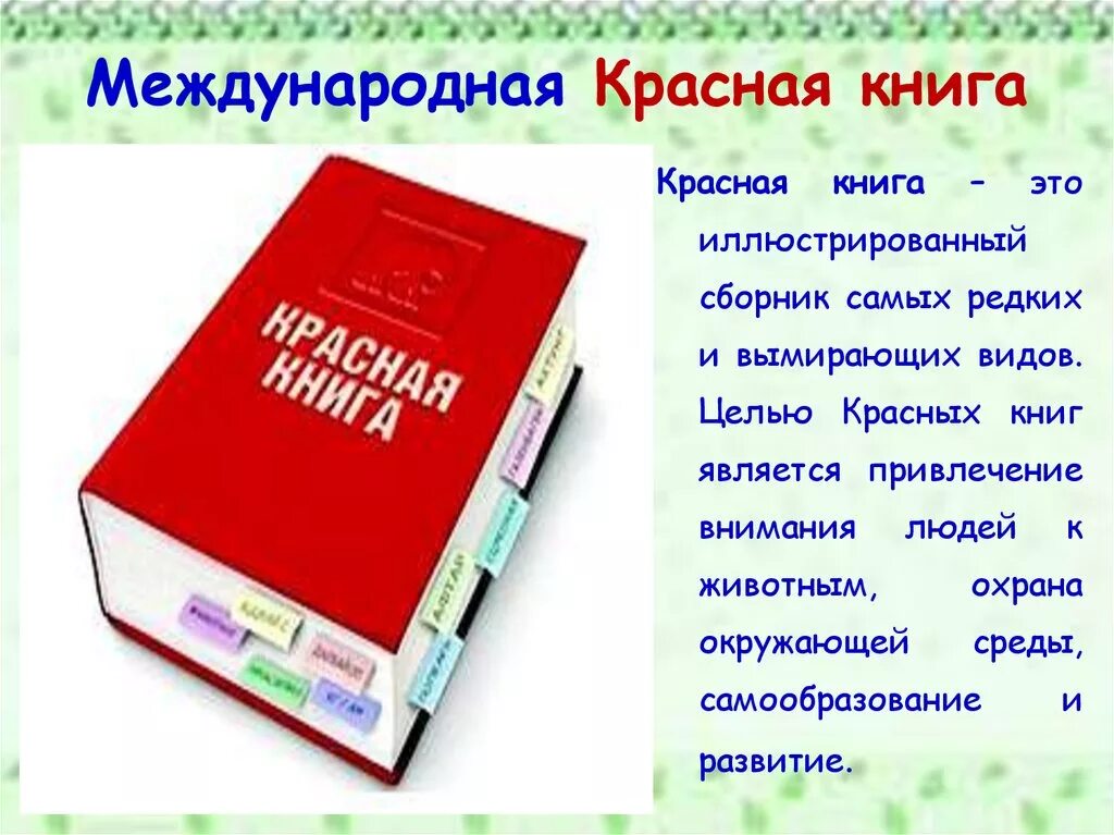 Книга о россии 4 класс. Проект Международная красная книга 4 класс. Проект Международная красная книга. Международная красная книга фото. Международная красная книга 4 класс.